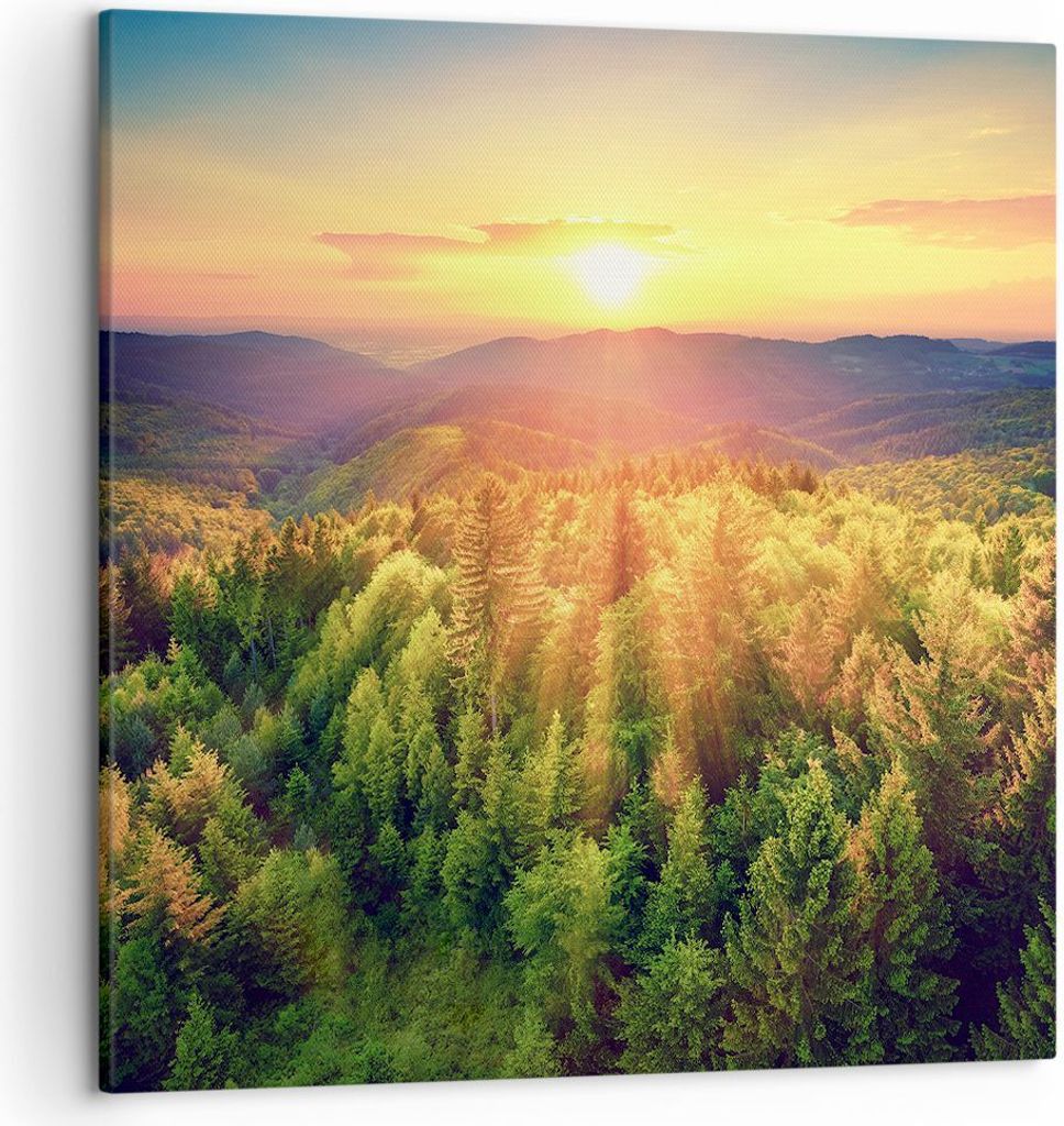Bild auf Leinwand - Leinwandbild - Berge Natur - 50x50cm - Wand Bild - Wanddeko - Wandbilder - Leinwanddruck - Bilder - Kunstdruck - Wanddekoration...