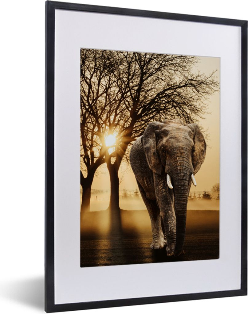 MuchoWow MuchoWow Gerahmtes Poster Elefant - Baum - Sonne 30x40 cm - Poster mit zchwarzem Bilderrahmen - Wandposter Schlafzimmer