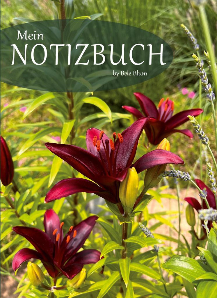 Mein Notizbuch, Deutsch, Taschenbuch, 100 Seiten