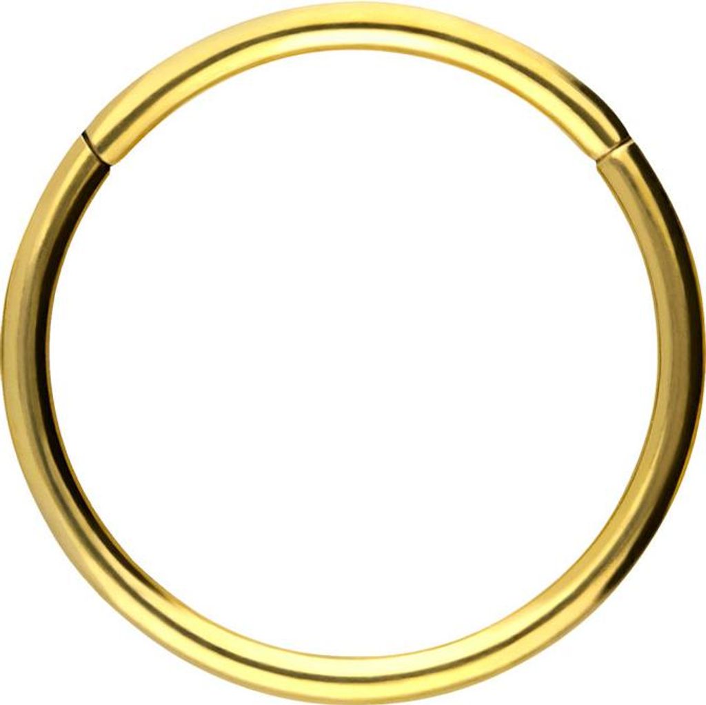 Ohrpiercing, Nasenpiercing, Septum Piercing Titan Segmentring Clicker Gold Innendurchmesser: 12mm + Stabstärke: 1mm