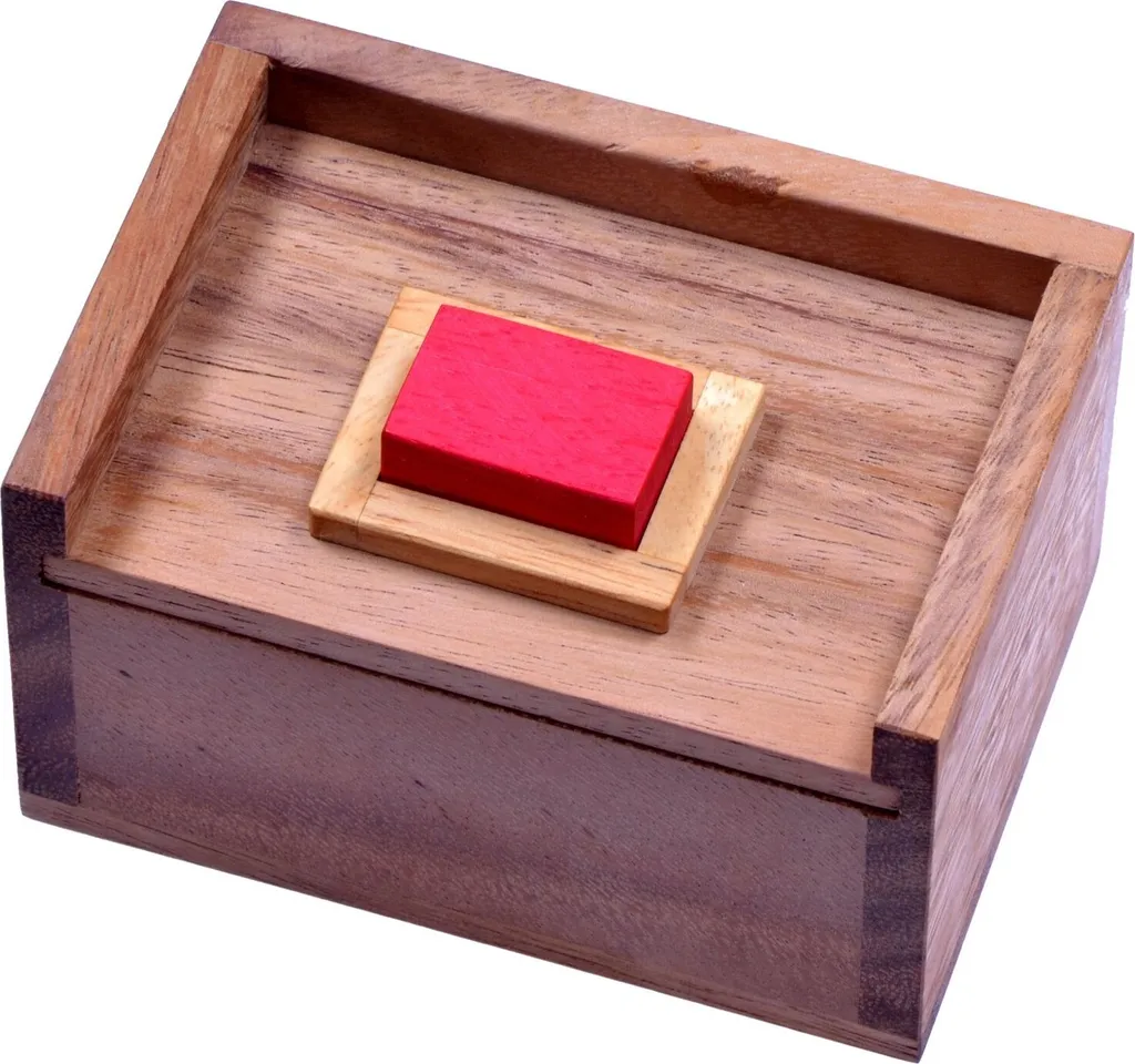 Jeu de réflexion Puzzle 3D en bois traditionnel : Casse-tête de logique