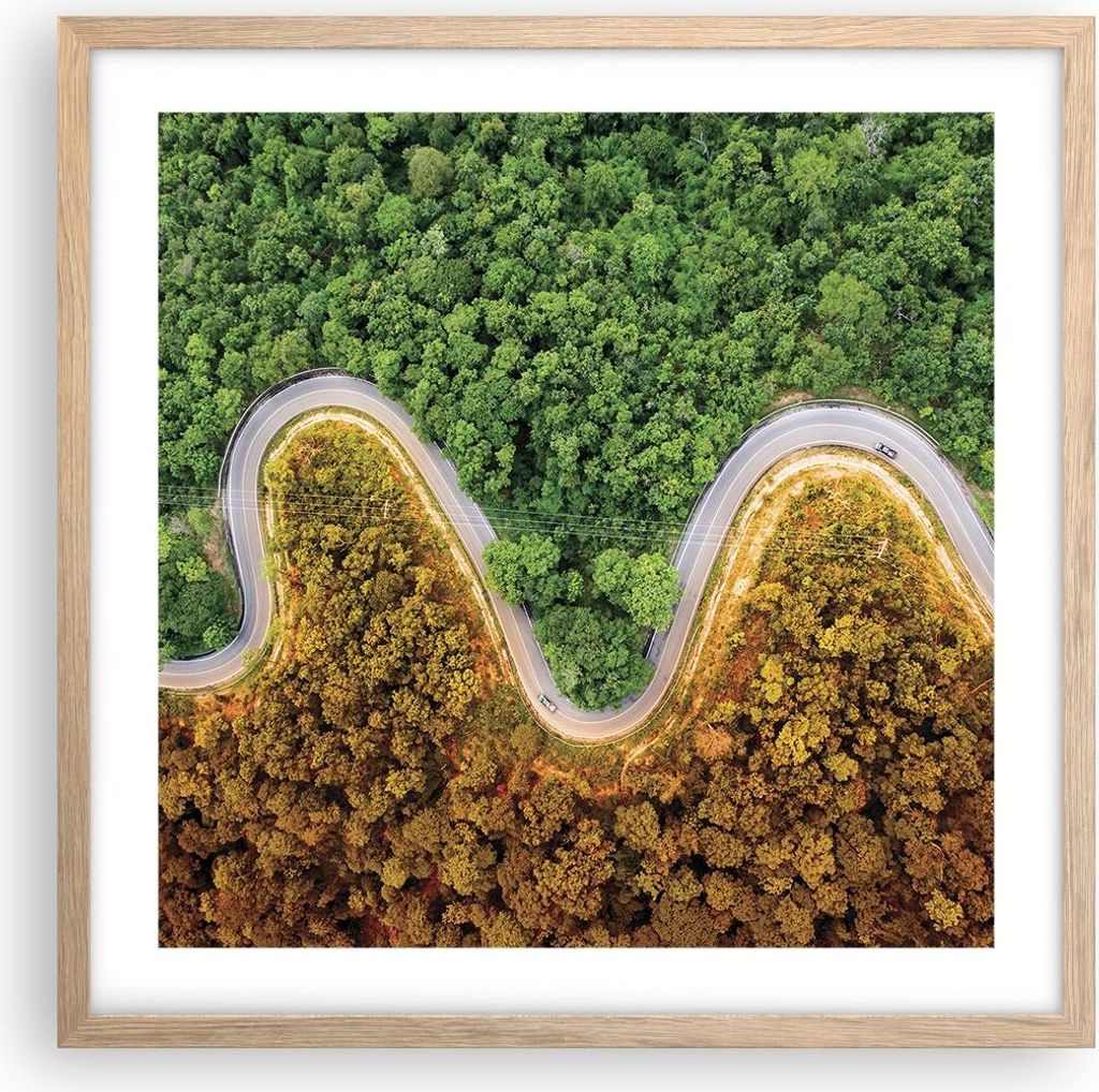 Gerahmtes Poster - Rahmen in heller Eiche - Luftaufnahmen Weg Wald - 50x50 cm - Wand Bild - Wanddeko - Wandbilder - Kunstposter - Wandposter - Bild...