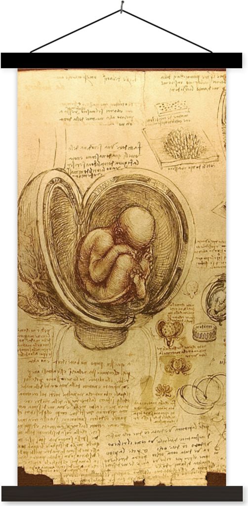 MuchoWow Textilposter Baby im Mutterleib - Leonardo da Vinci 60x120 cm mit schwarzem Rahmen - Magnete