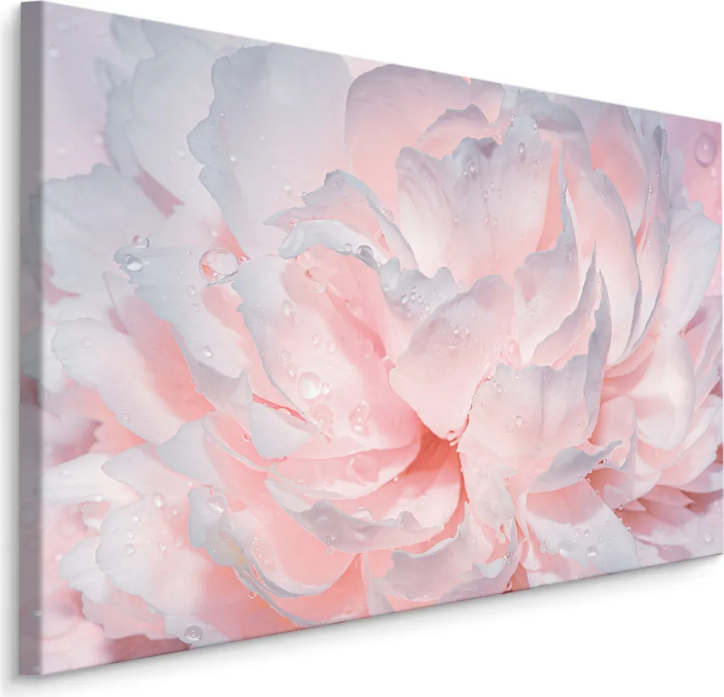 Favolosa tela PICTURES 120x80 cm XXL stampa d'arte peonie fiori natura