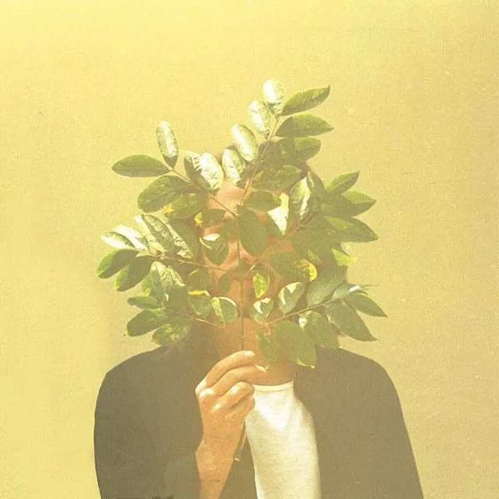 Évitez le Son Numérique avec le Vinyle FKJ French Kiwi Juice Chaleureux