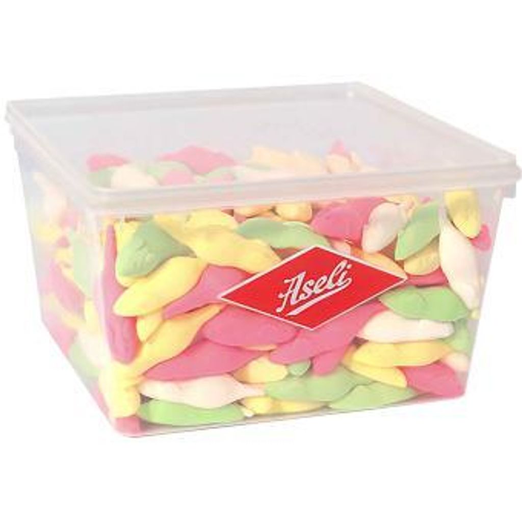 A clear, well-lit studio shot of a clear plastic container filled with colorful candies.