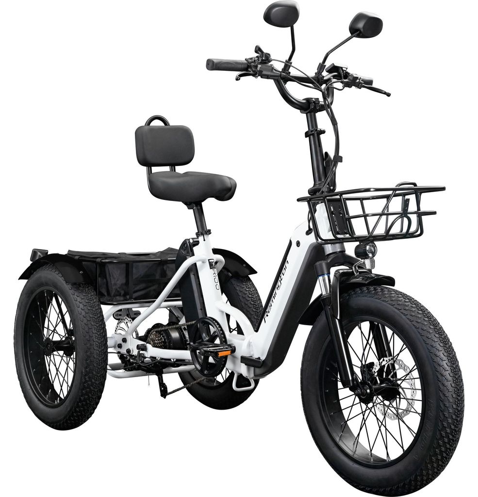 Remington R100 E Bike Dreirad 20 Zoll Elektrodreirad Produktbild 