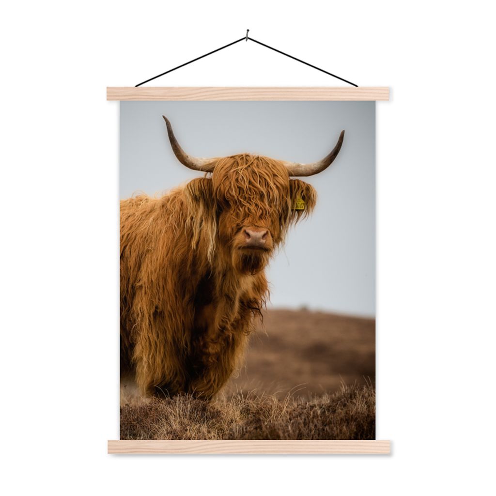 MuchoWow Textilposter Schottischer Highlander - Düne - Gras 40x53 cm mit holzfarbenen Rahmen - Schlafzimmer