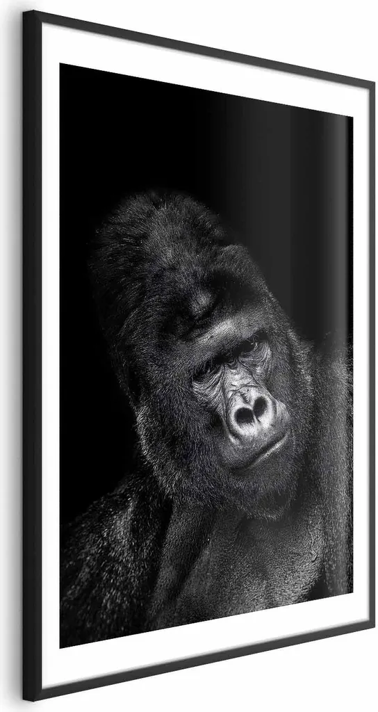 Poster Gorilla 60x90 Nero con Cornice - Arreda con Carattere