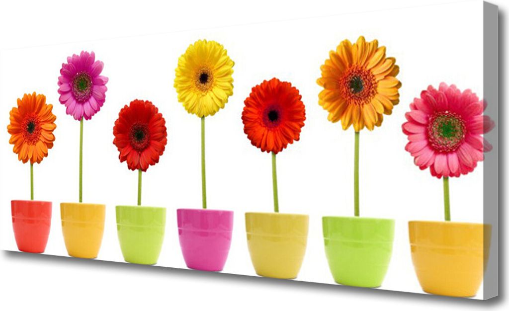 Tulup Leinwand-Bilder 125x50 Wandbild Canvas Kunstdruck Blumen Pflanzen
