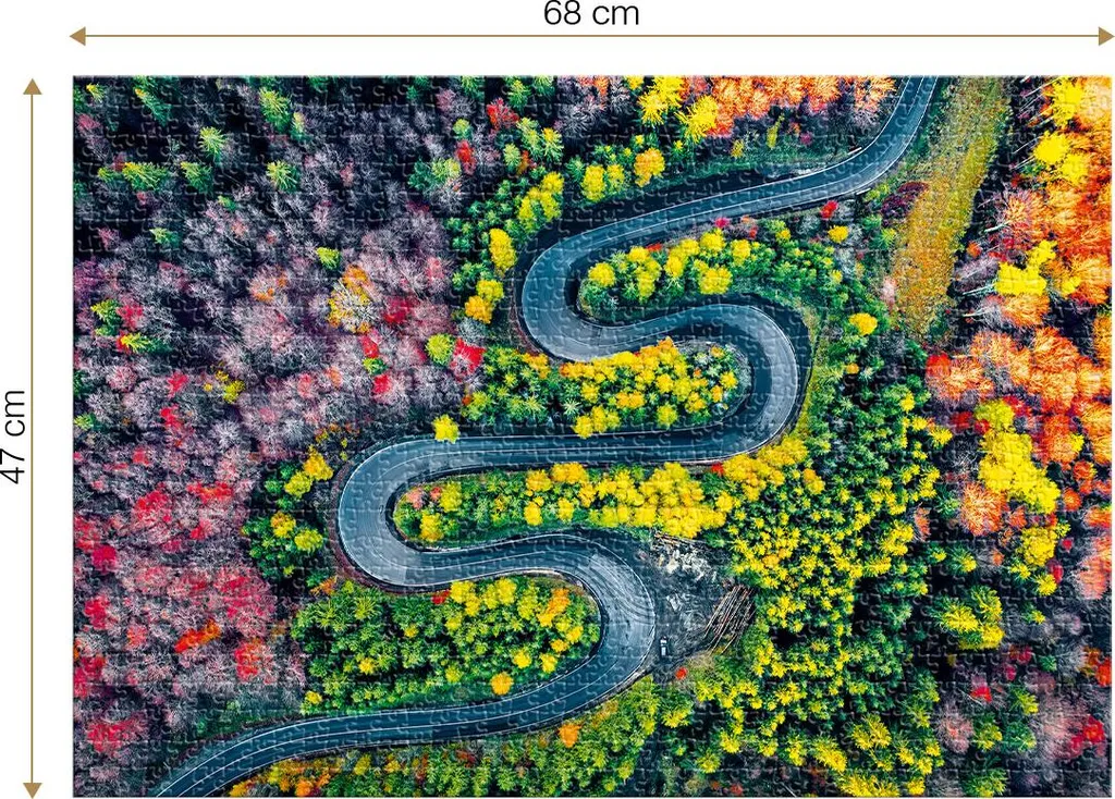 Puzzle 1000 pièces Roovi Cheia Pass : Idéal pour se relaxer chez soi
