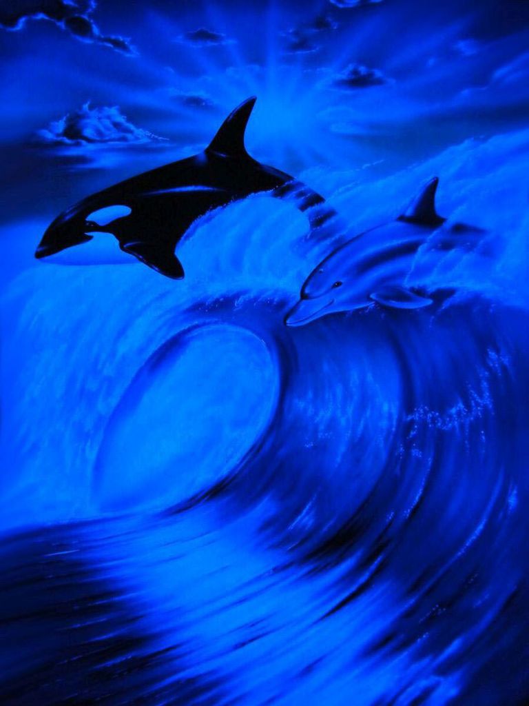 Schwarzlicht Poster | Freedom | 64x90cm | ungerahmt | Kunstdruck | Fantasy | Wandbild | Wandposter | Delphin