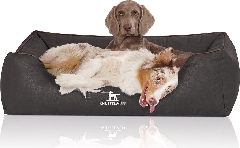 Knuffelwuff Orthopädisches Hundebett Rockland aus Kunstleder XXL 120 x 85cm Schwarz