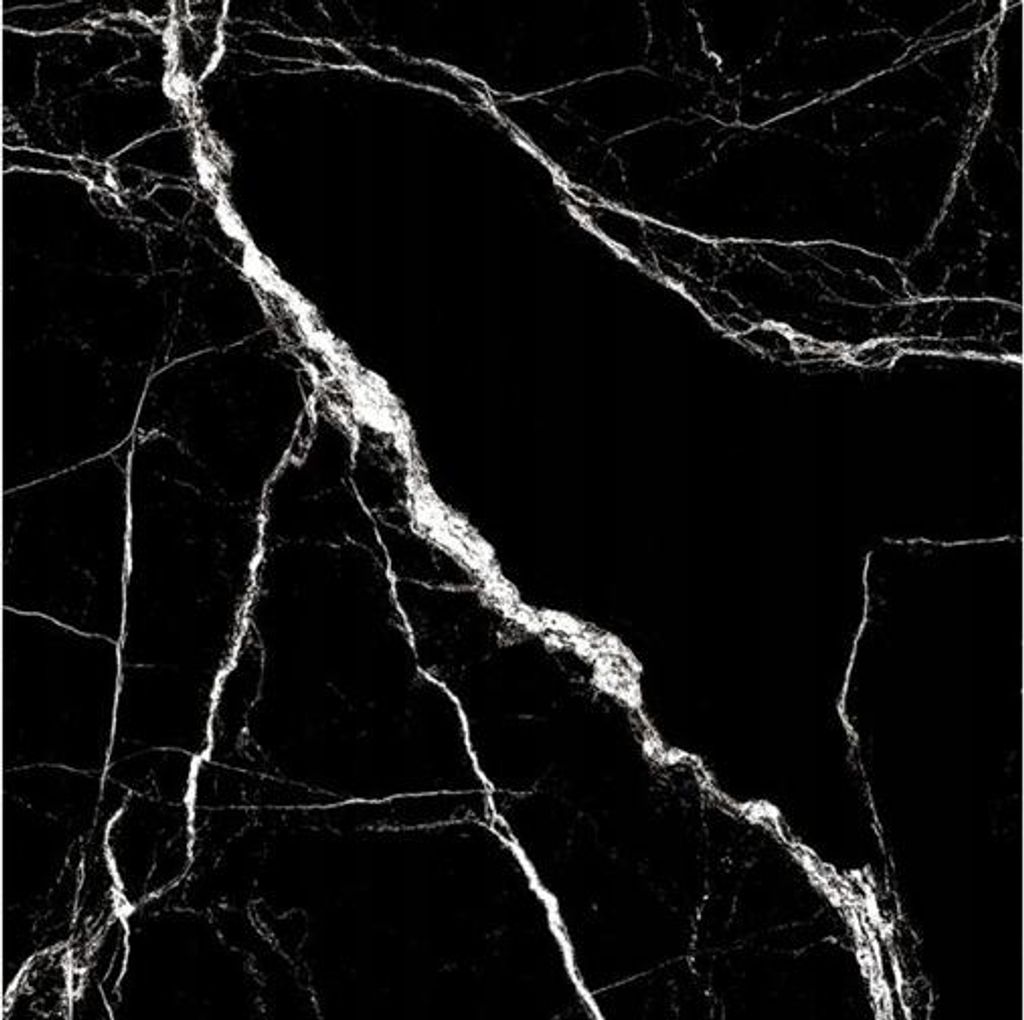 A close-up of a black marble tile with white veining.