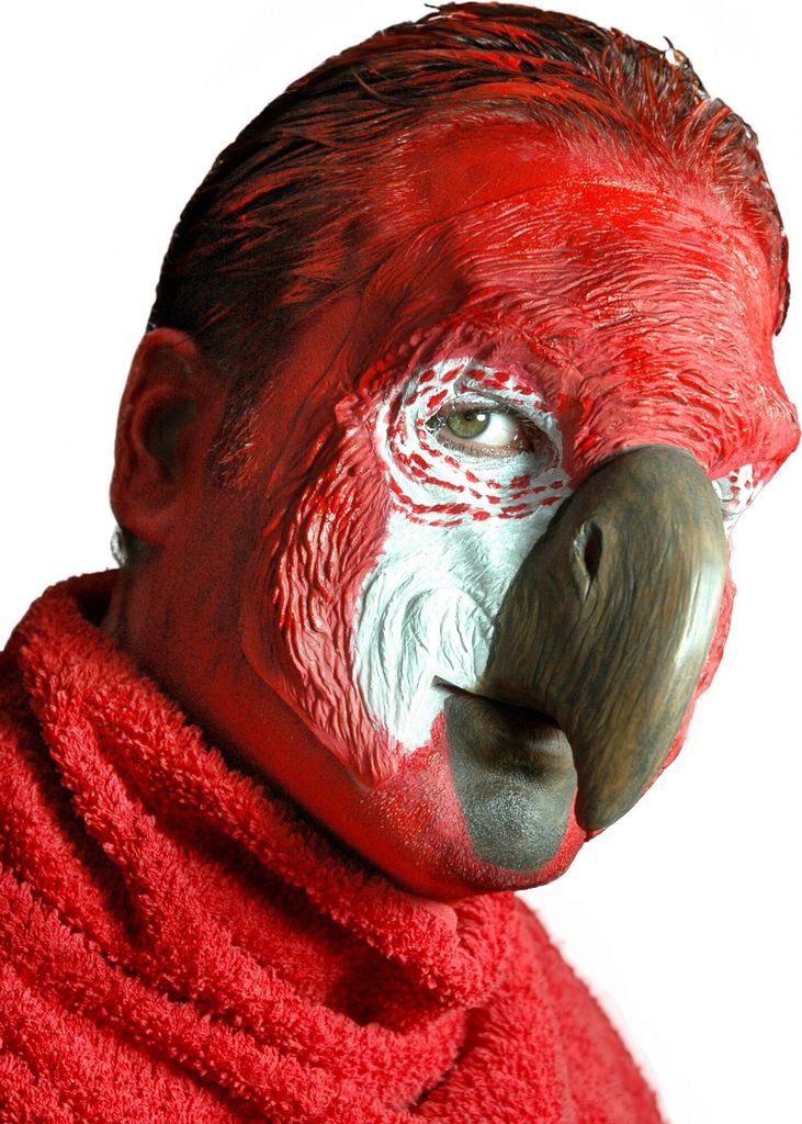 Papageienmaske zum Ankleben - Fasching Halloween Produktbild 