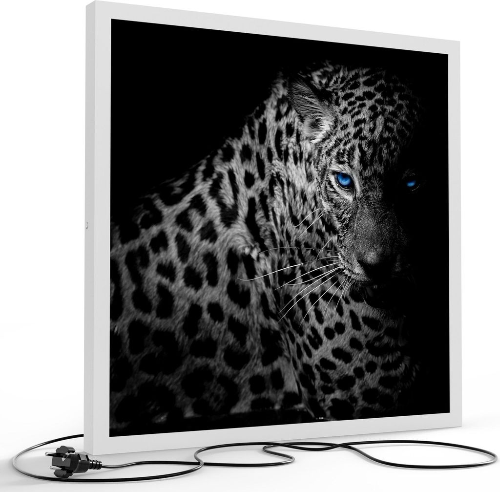 DEQORI LED-Bild & Lampe 60x60 cm Weiß 'Leopard mit blauen Augen' Leuchtbild LED Leuchte