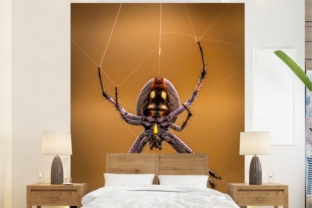 MuchoWow Fototapete für Wohnzimmer oder Schlafzimmer Wandtapete Vinyl Motivtapete Spinne spinnt Spinnennetz - 225x280 cm - Wohnzimmer tapete