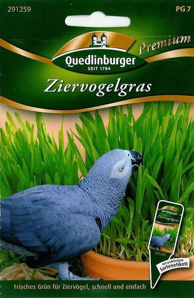 Quedlinburger Saatgut - Ziervogelgras - Samen - 291259 Produktbild 