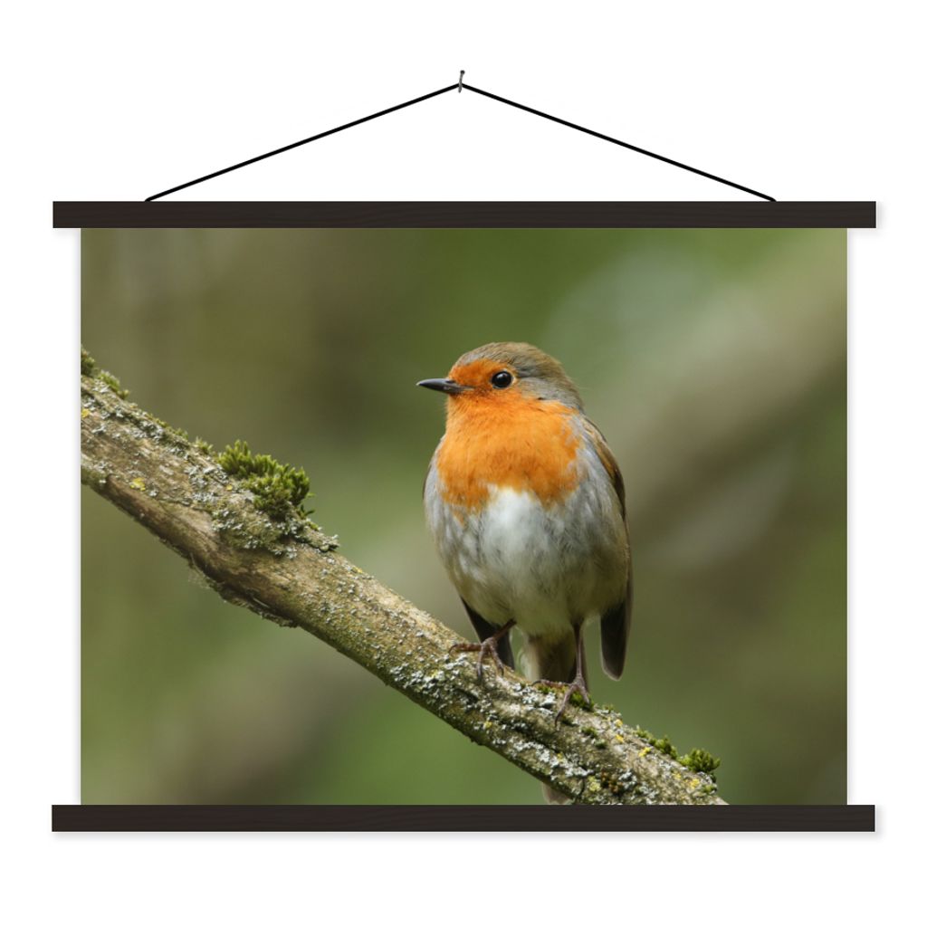 MuchoWow Textilposter Vogel - Rotkehlchen - Zweig - Pflanzen 120x90 cm mit schwarzem Rahmen - Aufhänger für Poster
