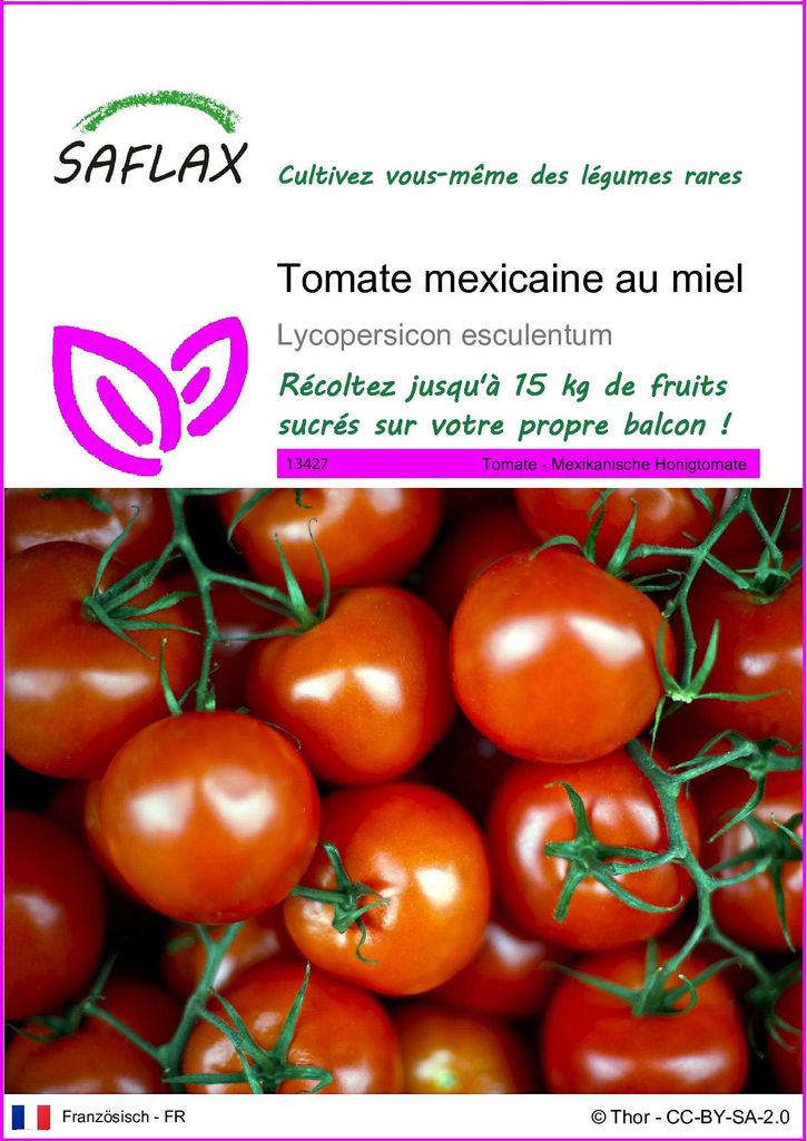 SAFLAX  - Tomate mexicaine au miel - 10 graines - Image du produit 
