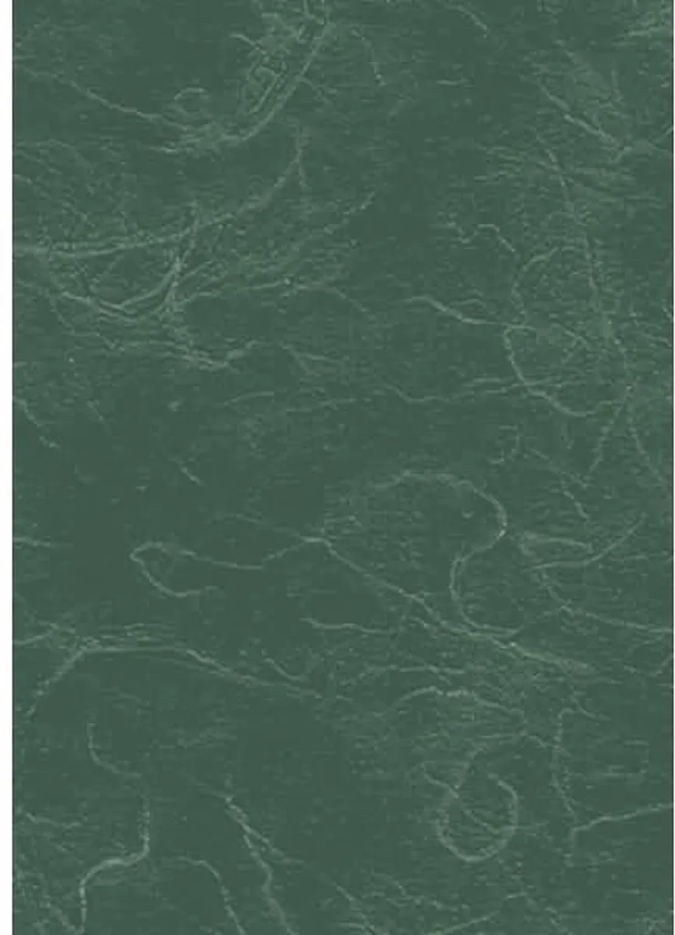 Carta Seta di Paglia Heyda 50x70 Verde Scuro 204718559 - Top Quality