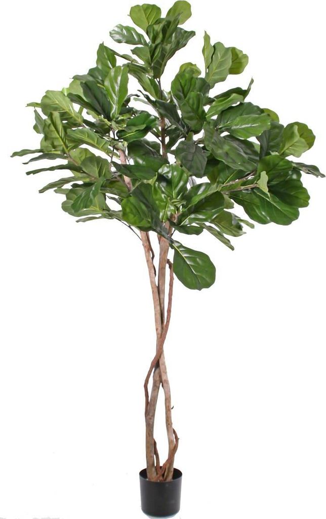 artplants.de Kunstbaum Ficus Lyrata Harvey, Naturstämme, grün, 190cm - Kunstpflanze/Zimmepflanze