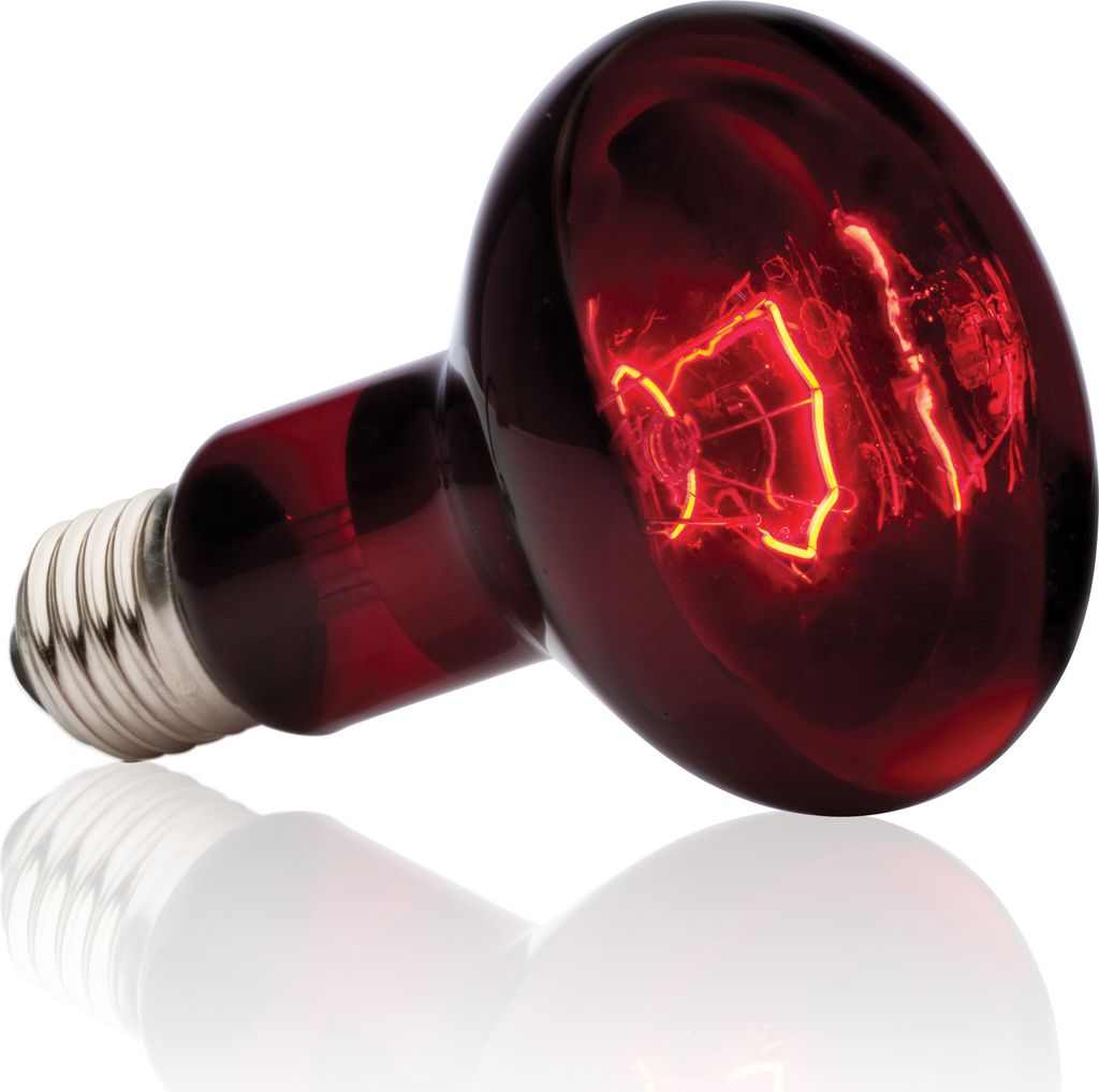Hagen EX Infrarot-Waermelampe Heat GL R25/100W; PT2144 Produktbild 