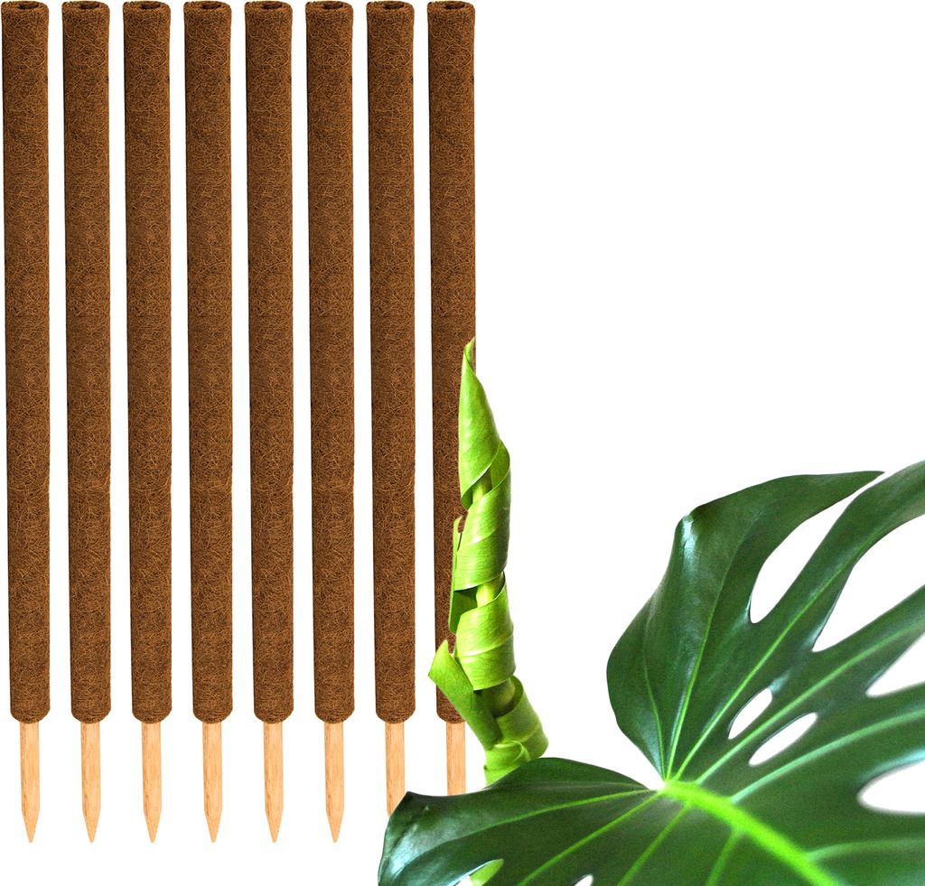 BigDean 8er Set Pflanzstäbe Kokos 110 cm - Monstera Produktbild 