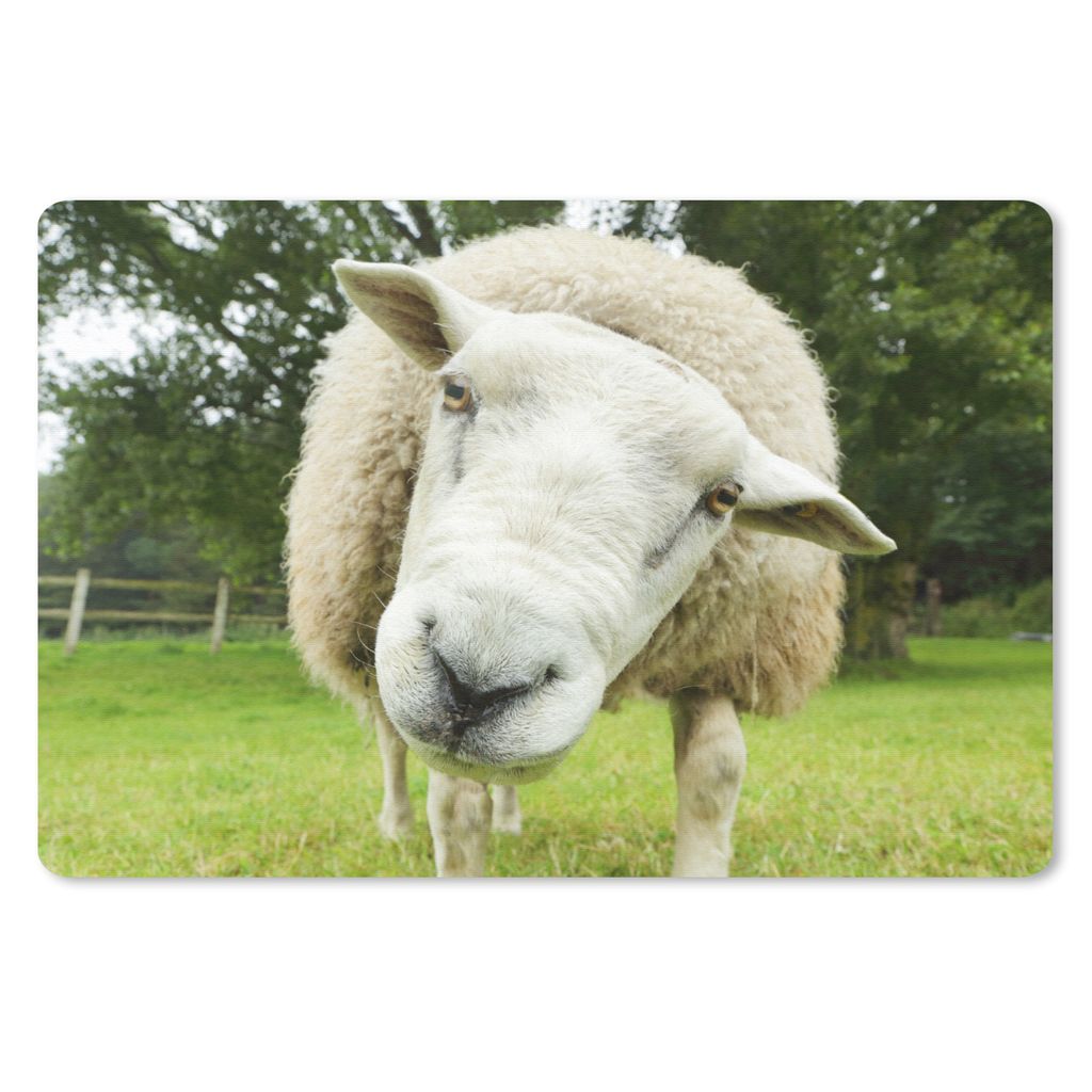 MuchoWow Mauspad Mousepad Schaf - Lustig - Wiese - Kinder - Jungen - Mädchen - Kind 27x18 cm - Mousepads - Maus Mat - Pad - Mausunterlage - Bür...