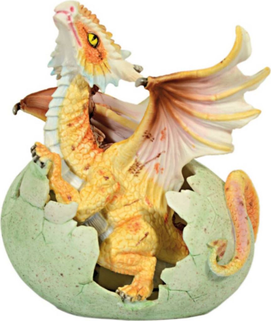 Drache aus Ei orange Produktbild 