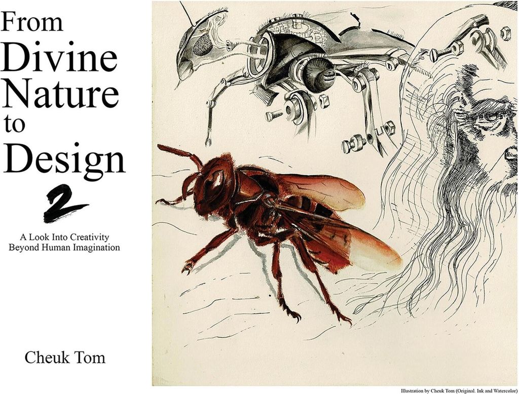 From Divine Nature to Design 2