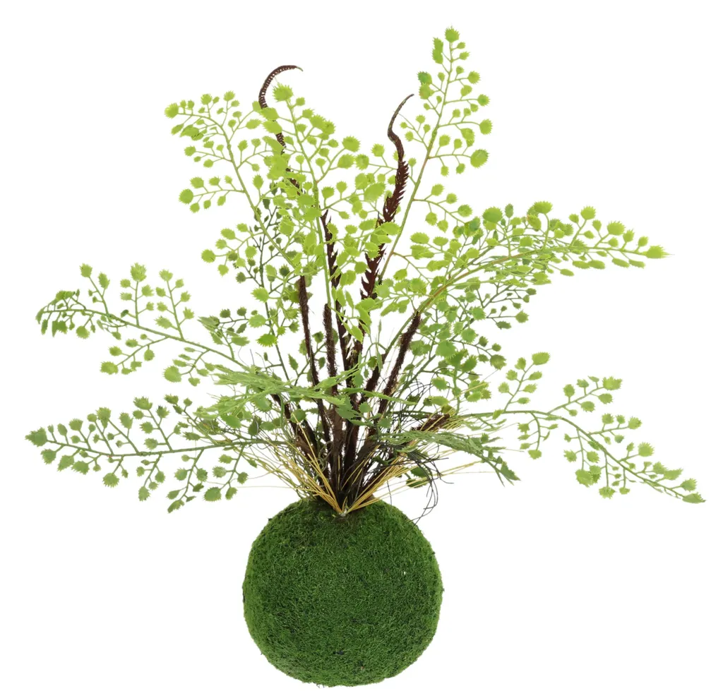 Plante artificielle fougère cheveux de femme contre coins sombres vides