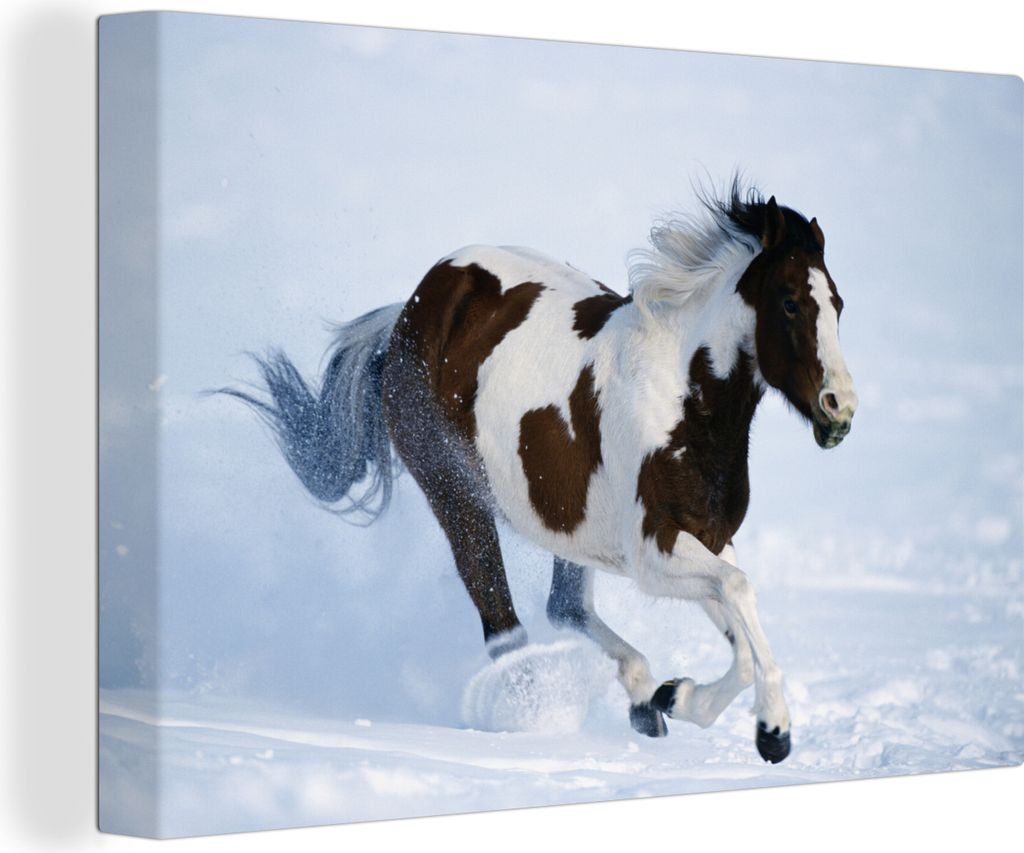 OneMillionCanvasses - Leinwandbilder - 140x90 cm, Pferde - Schnee - Winter, Wandbilder Kunstdruck Wanddekoration
