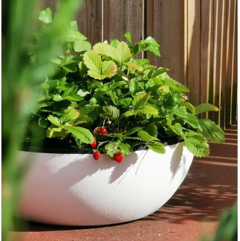 Bac à Fleurs Riviera Blanc 40 cm - Pot de Fleurs Rond pour Terrasse