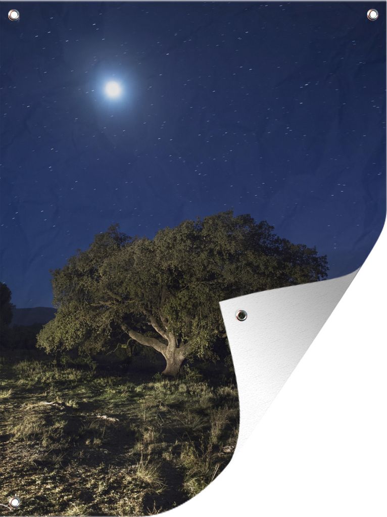 MuchoWow 30x40 cm Outdoor-Poster Gartendeko Sichtschutz Garten Poster für den Garten Die Spitze des Berges, beleuchtet vom Polarstern
