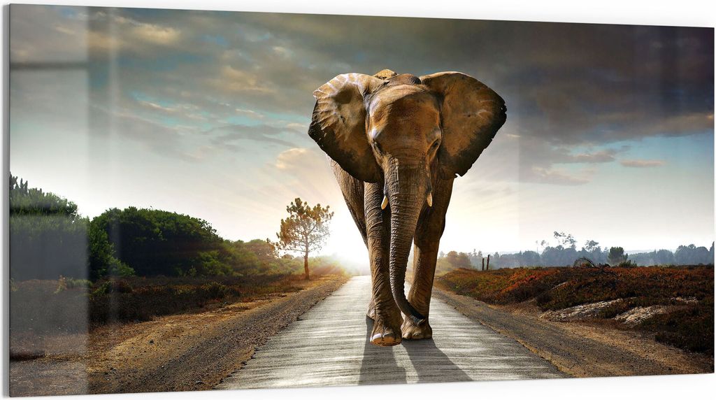 DEQORI Glasbild Acryl 100x50 cm 'Elefant auf Asphalt' Wandbild Bild modern Deko
