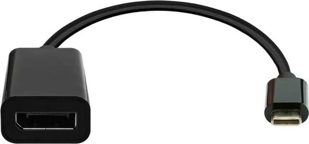 ProXtend USB-C auf DisplayPort Adapter 20cm schwarz