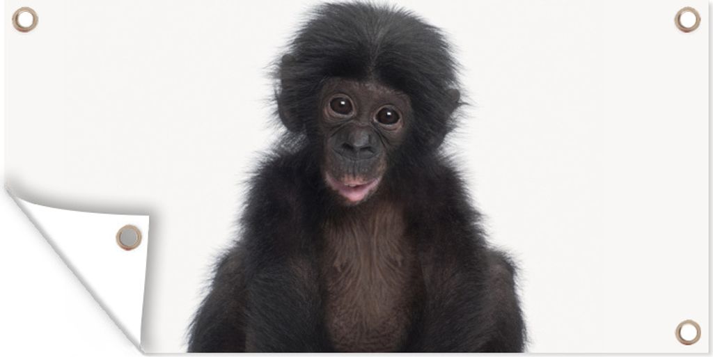 MuchoWow 80x40 cm Outdoor-Poster Gartendeko Sichtschutz Garten Poster für den Garten Kind - Affe - Schimpanse - Babytiere - Jungen - Mädchen