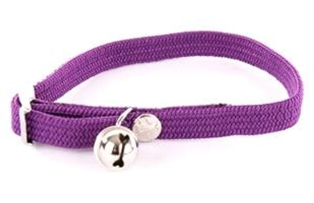 Collier chat élastique pour sorties extérieures Martin nylon violet