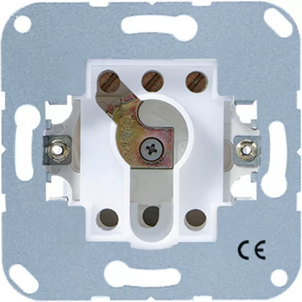 JUNG 134.15 - Schlüsselschalter - 1P - Metallisch - 250 V - Produktbild 
