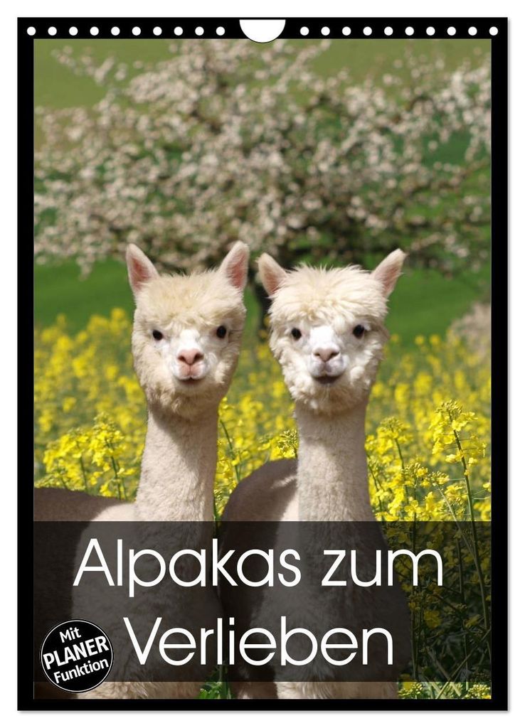 Alpakas zum Verlieben (Wandkalender 2027 DIN A4 hoch), CALVENDO Monatskalender