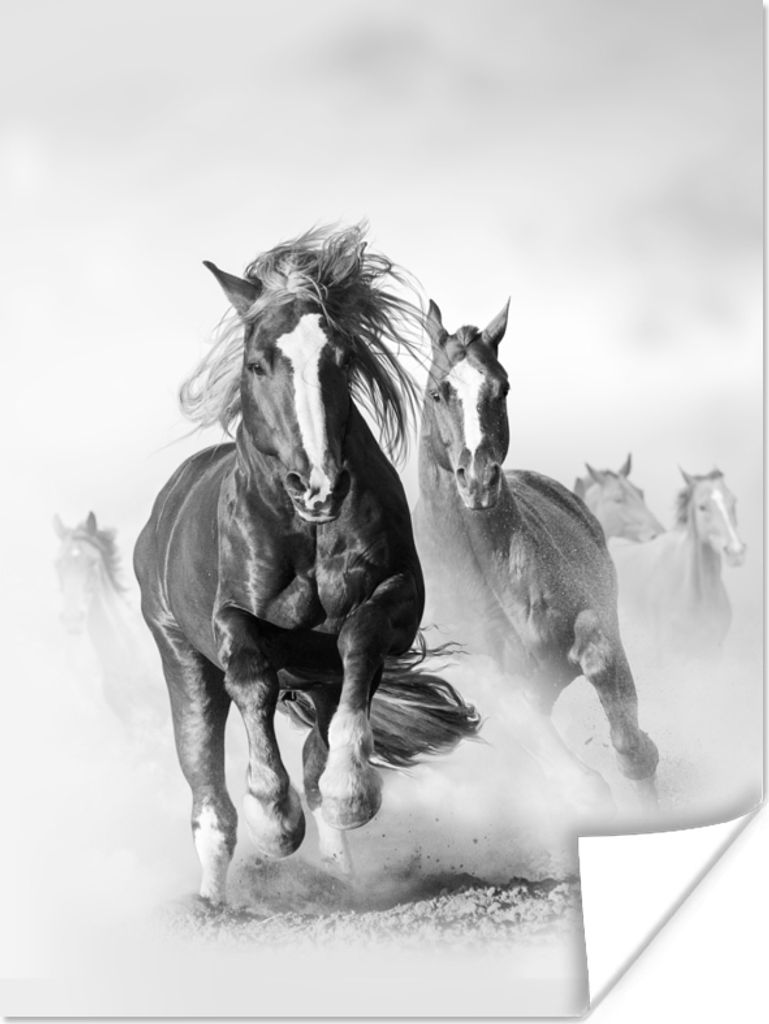 MuchoWow Poster Pferde - Tiere - Illustration 30x40 cm - Wandplakat - Poster Kinderzimmer