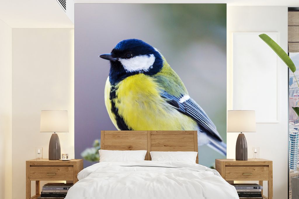 MuchoWow Fototapete für Wohnzimmer oder Schlafzimmer Wandtapete Vinyl Motivtapete Kohlmeise - Vogel - Zweig - 165x220 cm - Wanddekorationen