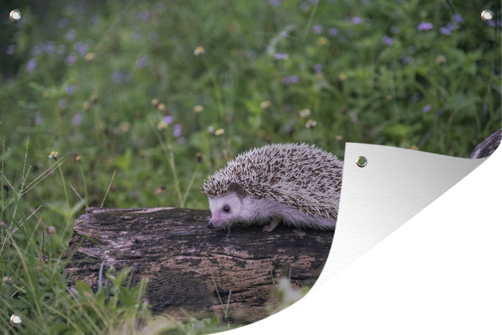 MuchoWow 120x80 cm Outdoor-Poster Gartendeko Sichtschutz Garten Poster für den Garten Igel auf Baumstumpf