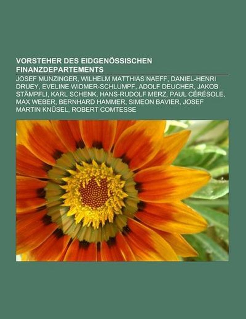Vorsteher des Eidgenössischen Finanzdepartements