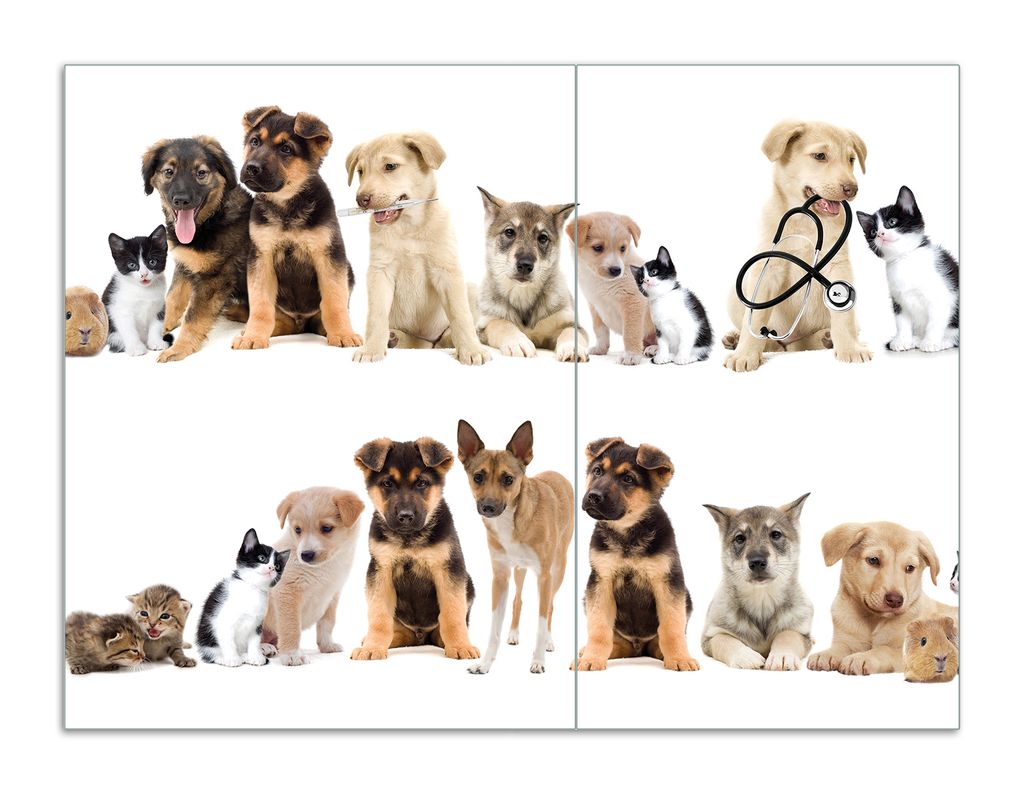 Wallario Herdabdeckplatte aus Glas, Größe 70 x 52 cm 2-teilig, Motiv Süße Haustiere - Katzen Hunde Hamster Küken