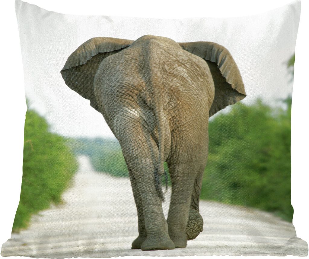 MuchoWow Zierkissen Sofakissen Wohnzimmer Dekokissen 50x50 cm Elefant - Kröte - Tiere - Natur - Komfort - Sofakissen