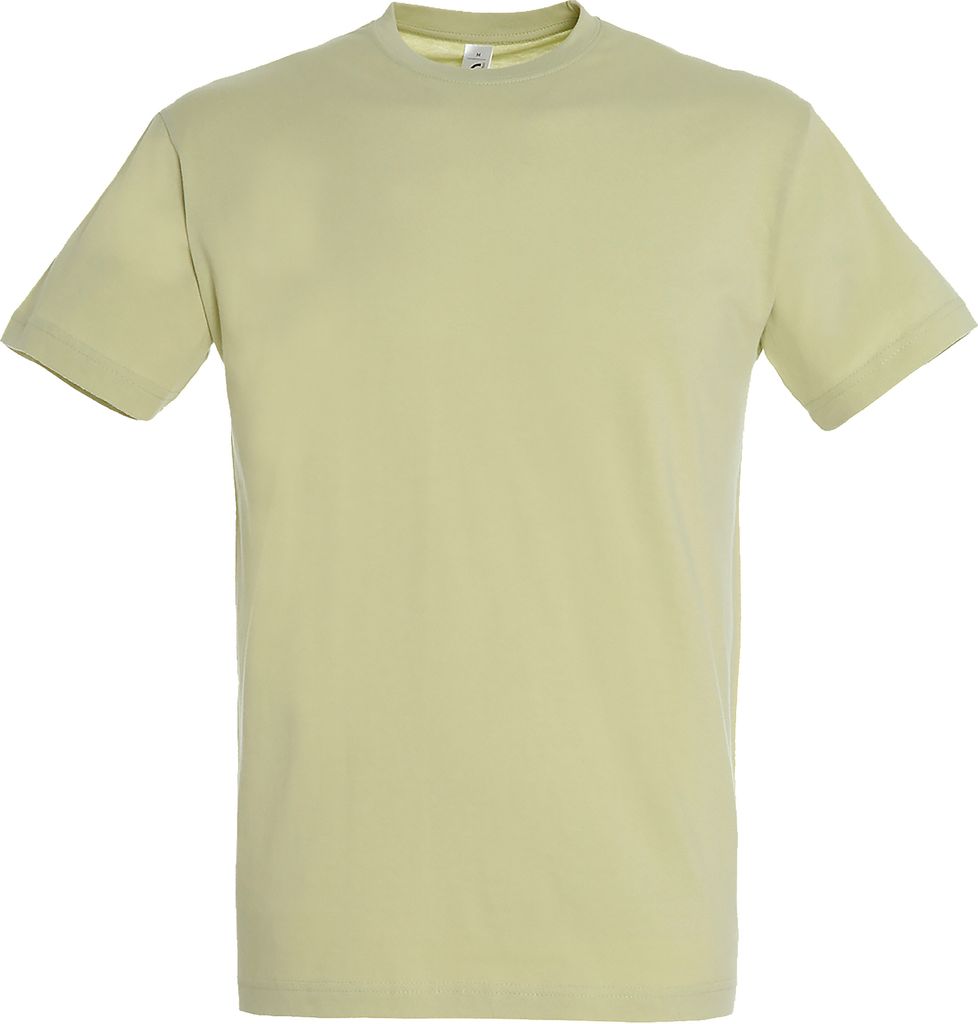 SOLS Regent Herren T-Shirt, Kurzarm PC288 (XL) (Salbeigrün)