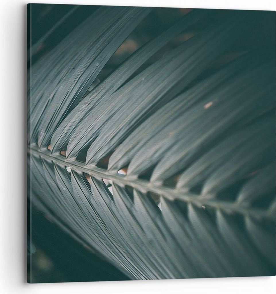 Bild auf Leinwand - Leinwandbild - Einteilig - Blatt Palme Produktbild 