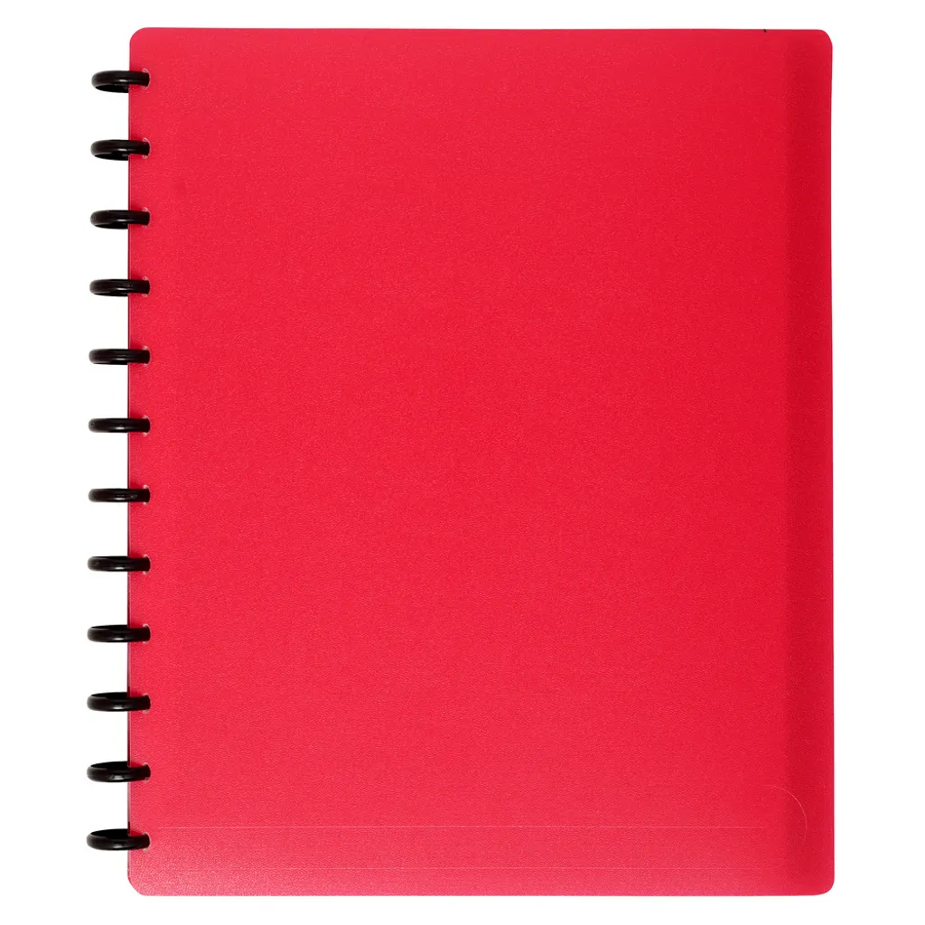 Protège-documents A4 en PP résistant 60 vues détachables Exacompta 6x